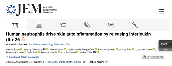 Human neutrophils drive skin autoinflammation by releasing interleukin (IL)-26