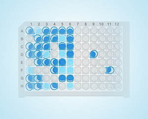 ELISA實(shí)驗設(shè)置